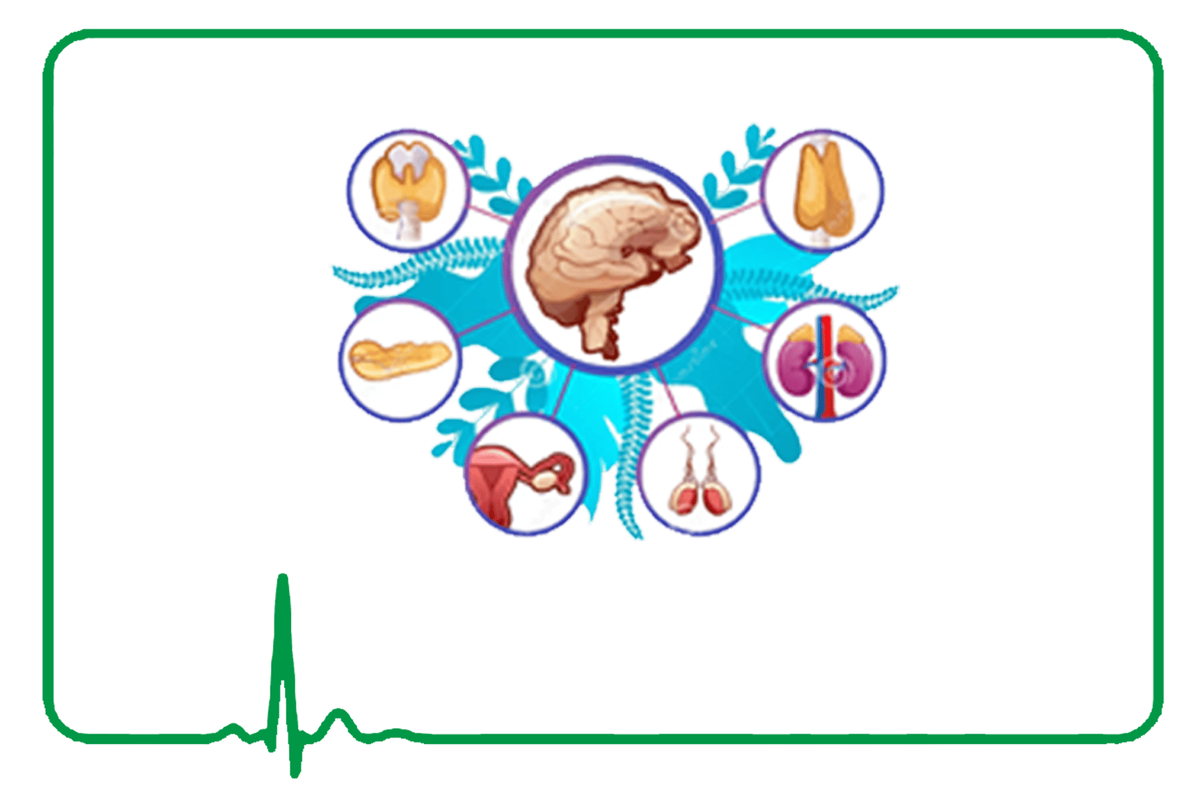 Endocrinologic Manufacturers in Delhi 