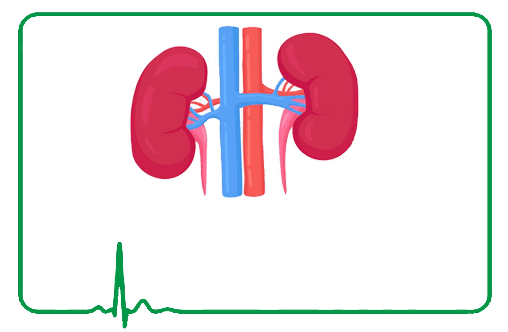 Urology / Nephrology